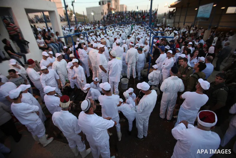 Members of the ancient Samaritan community participate in the ritual of Passover Sacrifice on Mount Grizim, overlooking the West Bank town of Nablus, April 20, 2016. Samaritans descended from the ancient Israelite tribes...