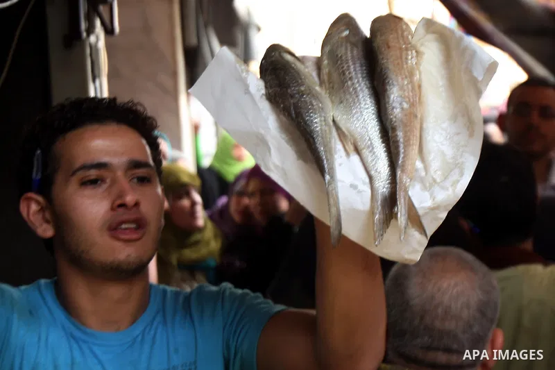 Egyptians buy the Herring or, salted fish during preparation for the upcoming the Sham El Nessim, or the Festival of Spring Breeze, which marks the beginning of spring, in Cair, on April 30, 2016. Photo by Amr Sayed