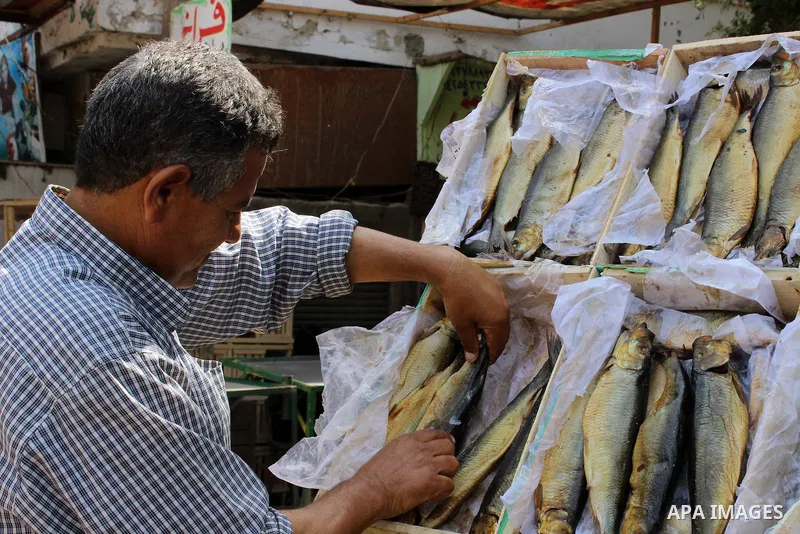 Egyptians buy the Herring or, salted fish during preparation for the upcoming the Sham El Nessim, or the Festival of Spring Breeze, which marks the beginning of spring, in Cair, on April 30, 2016. Photo by Amr Sayed