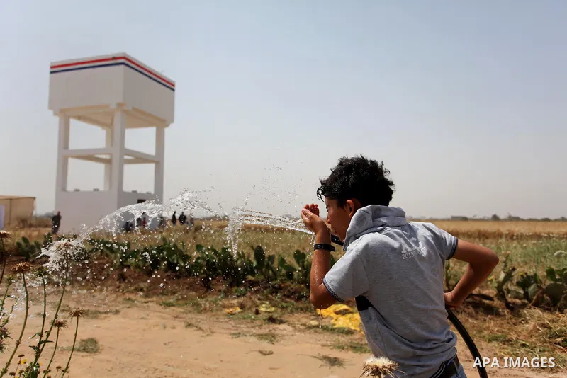 Palestinian farmers work at their fields during the Workers' Day, in Khan Younis in the southern Gaza Strip May 1, 2016. Photo by Ashraf Amra