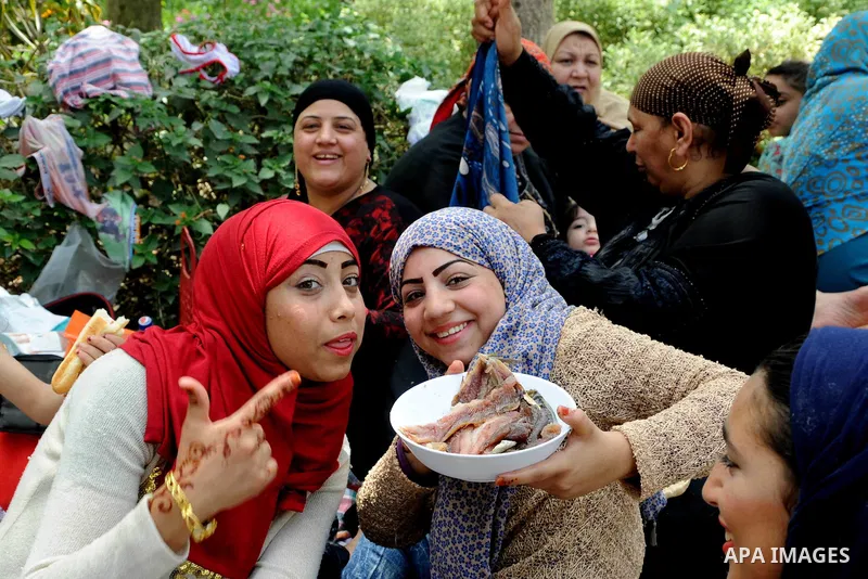 Egyptians gather at a garden marking Sham el-Nessim, or smelling the breeze which marks the beginning of spring, in Cairo, on May 02, 2016. Photo by Amr Sayed