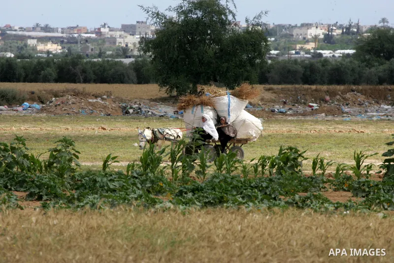 A Palestinian woman rides a donkey-pulled-cart in an area near Rafah in the southern Gaza Strip near the border with Israel after Israeli aircraft hit two Hamas targets in Gaza early on May 7, 2016 in response to rocket...