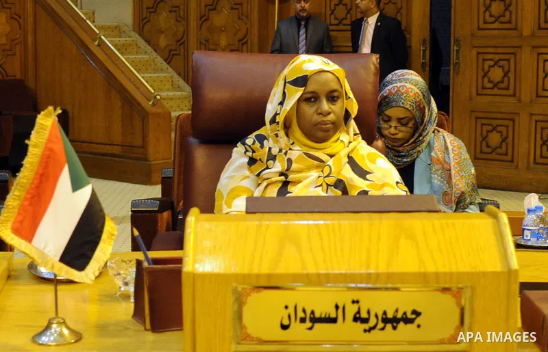 Permanent delegation of Arab countries in League of Arab States attend a meeting at the Arab League headquarters in Cairo, Egypt, on May 18, 2016. Photo by Stranger
