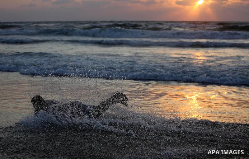 Palestinian youths enjoy a day at the beach of the Mediterranean sea on the coast of Gaza city during sunset, on May 24, 2016. Photo by Mohammed Asad