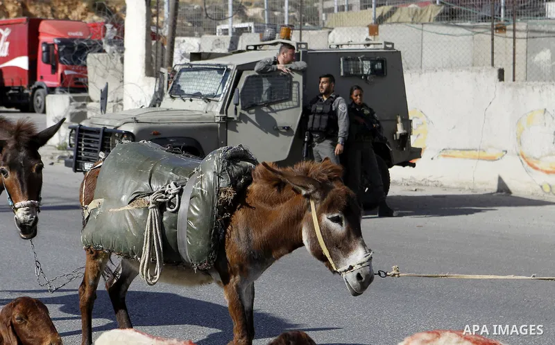Israeli security forces inspect Palestinian cars in the West Bank village of Halhul, near Hebron, on May 27, 2016. Photo by Wisam Hashlamoun