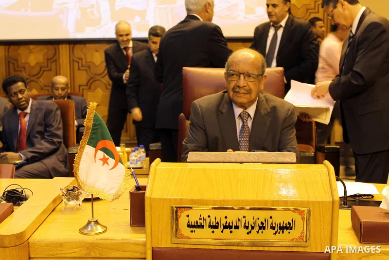 Arab Foreign Ministers attend a meeting to discuss a French peace initiative in Cairo on May 28, 2016. Photo by Egyptian President Office