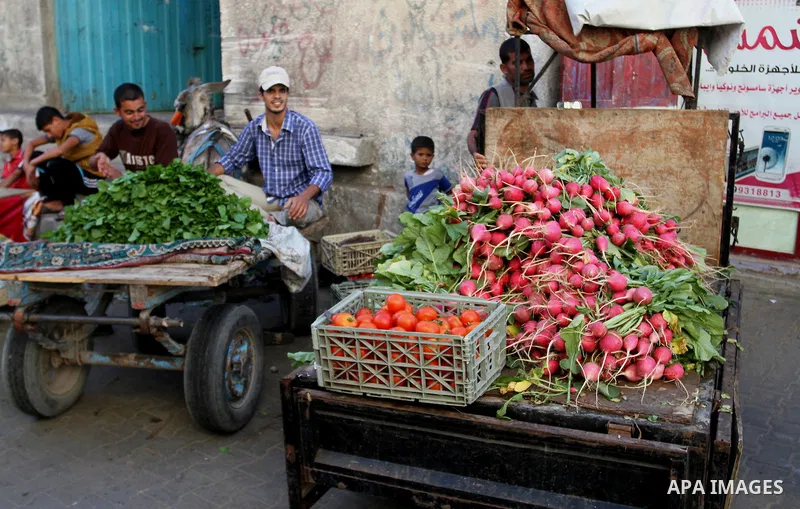Palestinians shop at a market during the Muslim holy fasting month of Ramadan in Rafah in the southern Gaza strip, on June 9, 2016. Photo by Abed Rahim Khatib