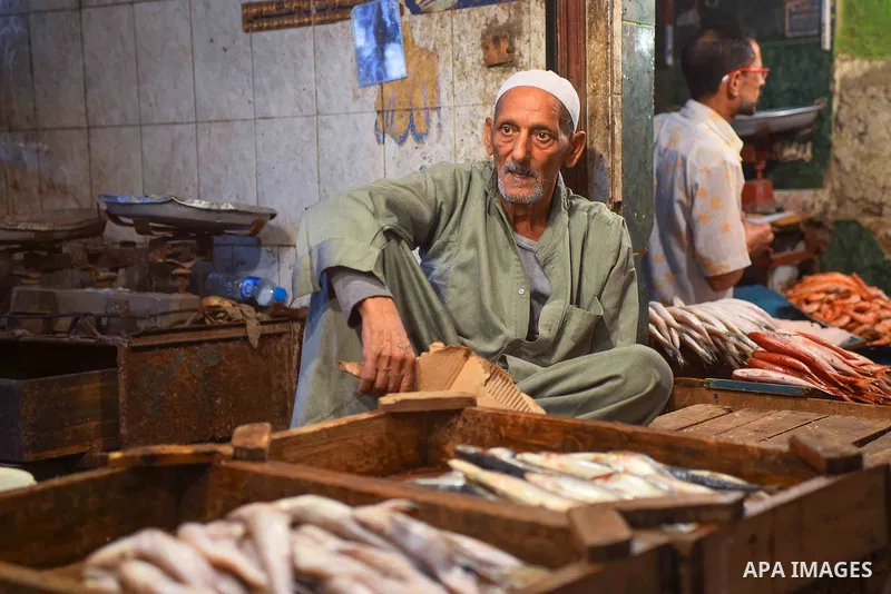 An Egyptian vendor displays fishes at his shop on the holy month of Ramadan at a fishes market at the Imbaba area in Cairo, Egypt, on June 11, 2016. Ramadan is sacred to Muslims because it is during that month that tradi...