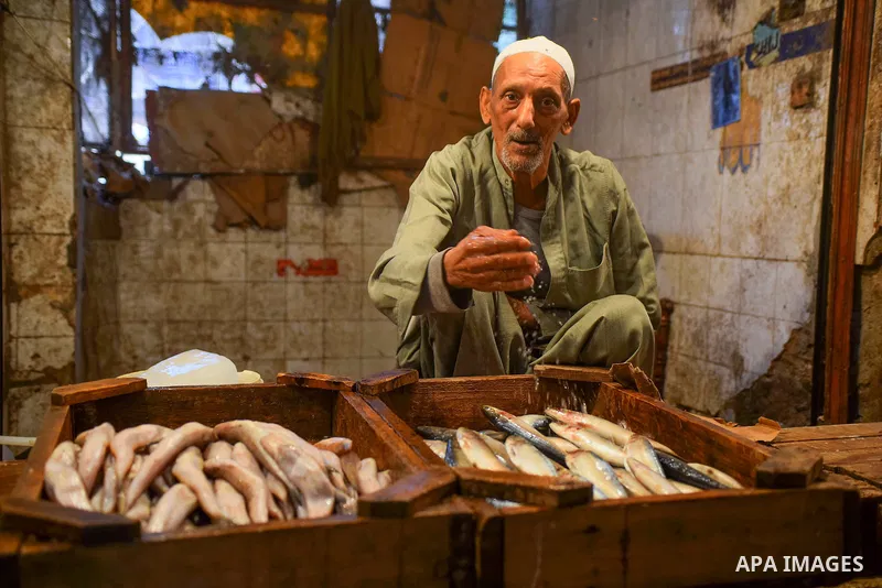 An Egyptian vendor displays fishes at his shop on the holy month of Ramadan at a fishes market at the Imbaba area in Cairo, Egypt, on June 11, 2016. Ramadan is sacred to Muslims because it is during that month that tradi...