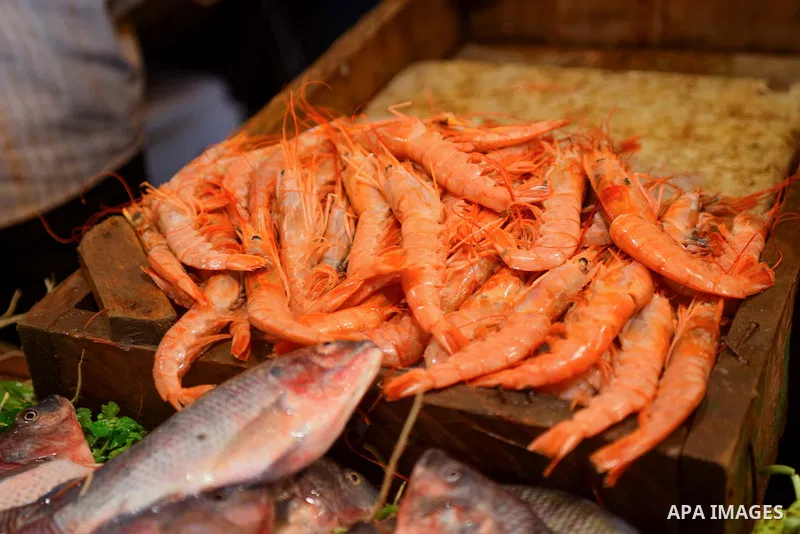 Fishes are displayed on the holy month of Ramadan at a fishes market at the Imbaba area in Cairo, Egypt, on June 11, 2016. Ramadan is sacred to Muslims because it is during that month that tradition says the Koran was re...