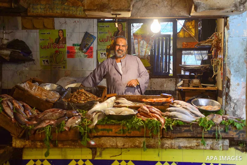 An Egyptian vendor displays fishes at his shop on the holy month of Ramadan at a fishes market at the Imbaba area in Cairo, Egypt, on June 11, 2016. Ramadan is sacred to Muslims because it is during that month that tradi...