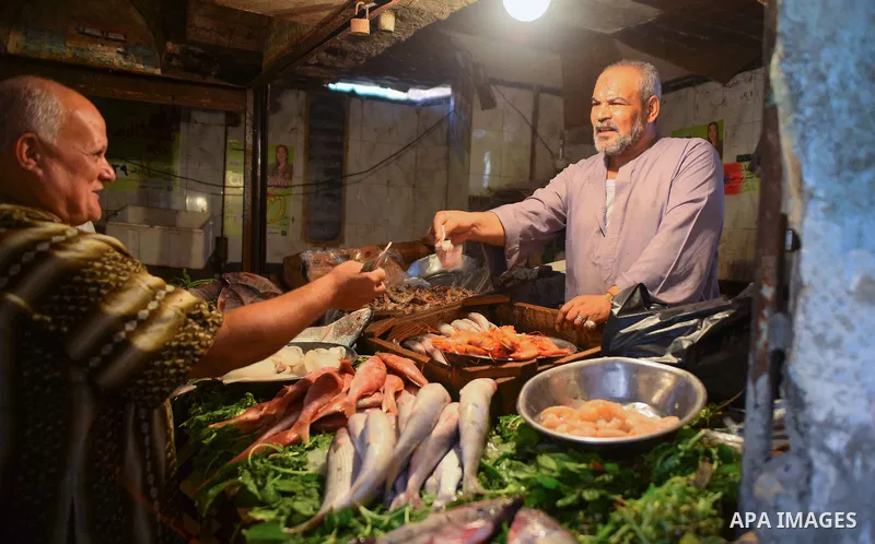 An Egyptian vendor displays fishes at his shop on the holy month of Ramadan at a fishes market at the Imbaba area in Cairo, Egypt, on June 11, 2016. Ramadan is sacred to Muslims because it is during that month that tradi...