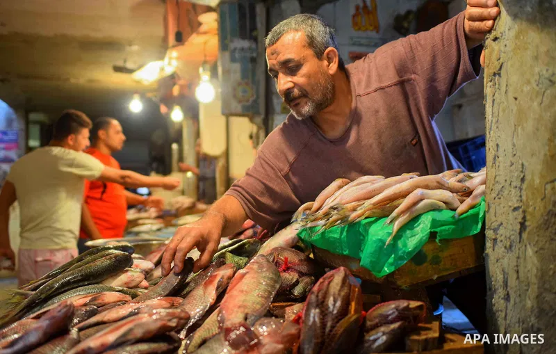 An Egyptian vendor displays fishes at his shop on the holy month of Ramadan at a fishes market at the Imbaba area in Cairo, Egypt, on June 11, 2016. Ramadan is sacred to Muslims because it is during that month that tradi...