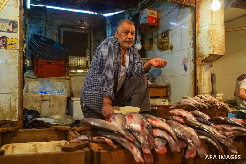 An Egyptian vendor displays fishes at his shop on the holy month of Ramadan at a fishes market at the Imbaba area in Cairo, Egypt, on June 11, 2016. Ramadan is sacred to Muslims because it is during that month that tradi...