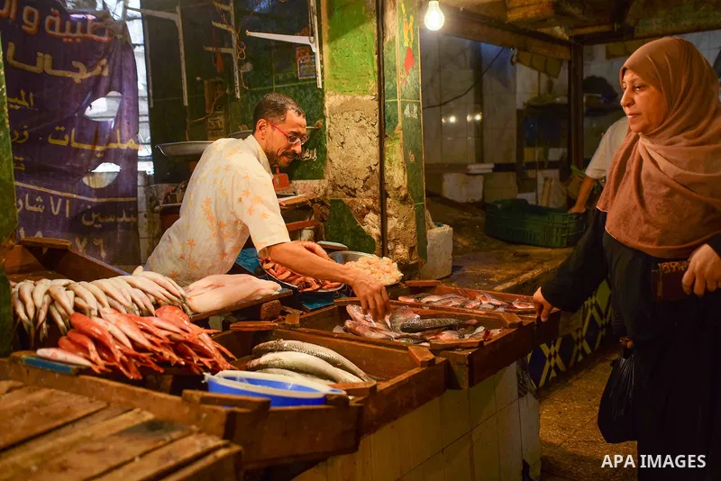 An Egyptian vendor displays fishes at his shop on the holy month of Ramadan at a fishes market at the Imbaba area in Cairo, Egypt, on June 11, 2016. Ramadan is sacred to Muslims because it is during that month that tradi...