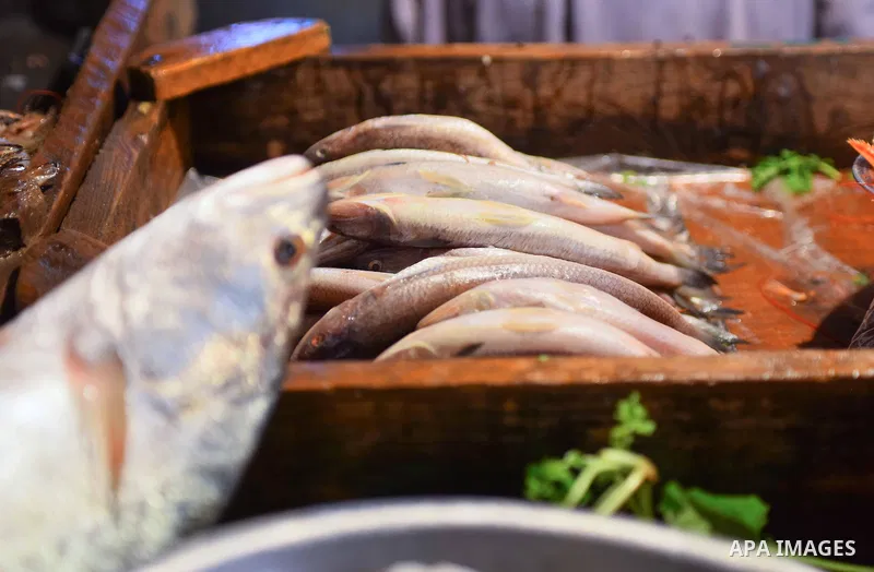 Fishes are displayed on the holy month of Ramadan at a fishes market at the Imbaba area in Cairo, Egypt, on June 11, 2016. Ramadan is sacred to Muslims because it is during that month that tradition says the Koran was re...