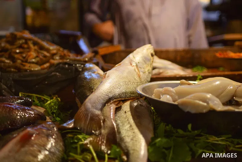 Fishes are displayed on the holy month of Ramadan at a fishes market at the Imbaba area in Cairo, Egypt, on June 11, 2016. Ramadan is sacred to Muslims because it is during that month that tradition says the Koran was re...