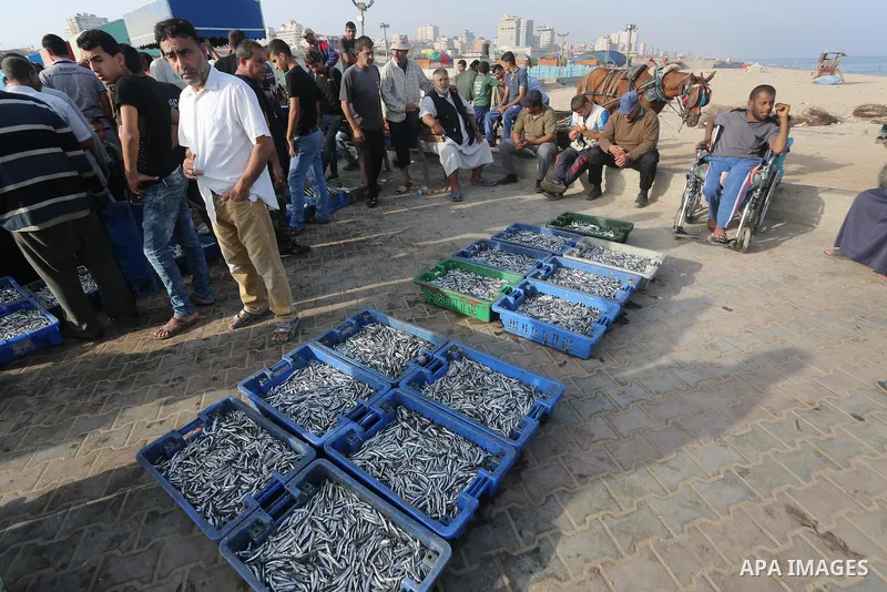 Palestinian fishermen display fish for sale on the holy month of Ramadan, in Gaza seaport, on June 14, 2016. Muslims around the world refrain from eating, drinking and sexual intercourse from dawn till dusk during Ramada...