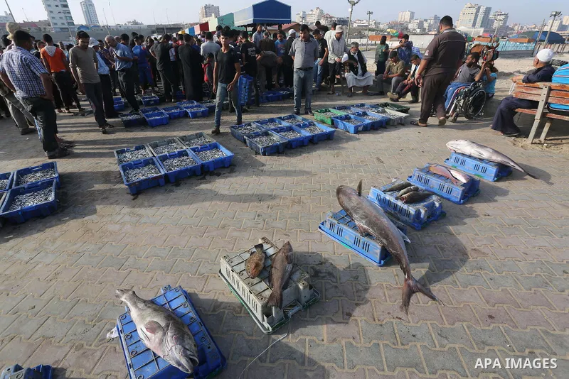 Palestinian fishermen display fish for sale on the holy month of Ramadan, in Gaza seaport, on June 14, 2016. Muslims around the world refrain from eating, drinking and sexual intercourse from dawn till dusk during Ramada...