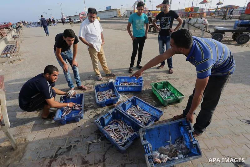Palestinian fishermen display fish for sale on the holy month of Ramadan, in Gaza seaport, on June 14, 2016. Muslims around the world refrain from eating, drinking and sexual intercourse from dawn till dusk during Ramada...
