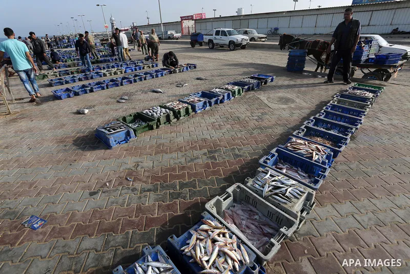 Palestinian fishermen display fish for sale on the holy month of Ramadan, in Gaza seaport, on June 14, 2016. Muslims around the world refrain from eating, drinking and sexual intercourse from dawn till dusk during Ramada...