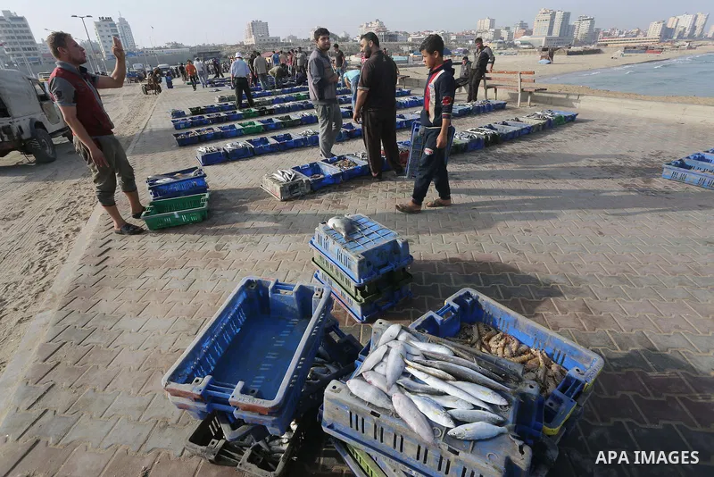 Palestinian fishermen display fish for sale on the holy month of Ramadan, in Gaza seaport, on June 14, 2016. Muslims around the world refrain from eating, drinking and sexual intercourse from dawn till dusk during Ramada...