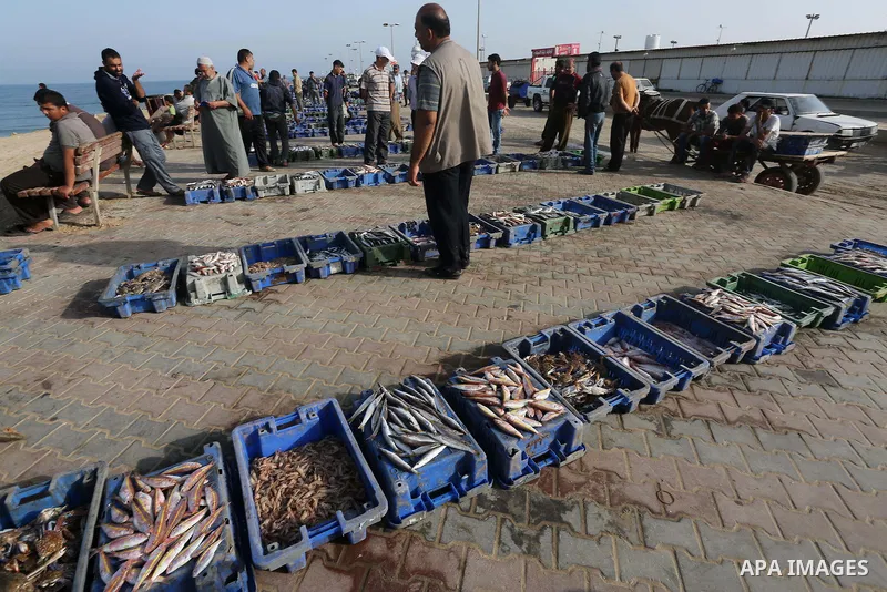 Palestinian fishermen display fish for sale on the holy month of Ramadan, in Gaza seaport, on June 14, 2016. Muslims around the world refrain from eating, drinking and sexual intercourse from dawn till dusk during Ramada...