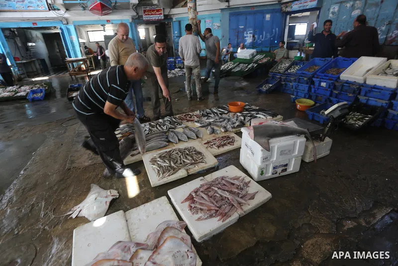 Palestinian fishermen display fish for sale on the holy month of Ramadan, in Gaza seaport, on June 14, 2016. Muslims around the world refrain from eating, drinking and sexual intercourse from dawn till dusk during Ramada...