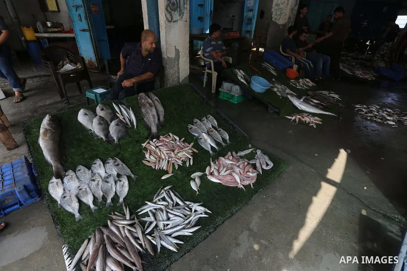 Palestinian fishermen display fish for sale on the holy month of Ramadan, in Gaza seaport, on June 14, 2016. Muslims around the world refrain from eating, drinking and sexual intercourse from dawn till dusk during Ramada...