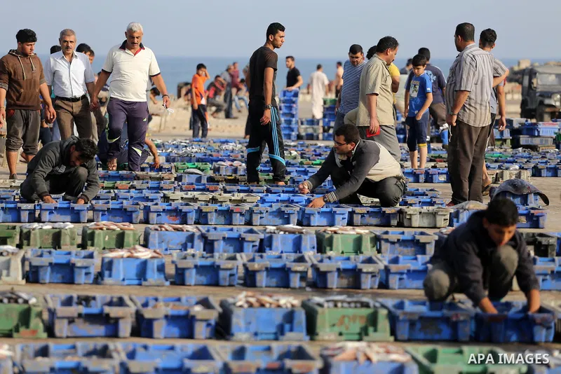 Palestinian fishermen display fish for sale on the holy month of Ramadan, in Gaza seaport, on June 14, 2016. Muslims around the world refrain from eating, drinking and sexual intercourse from dawn till dusk during Ramada...