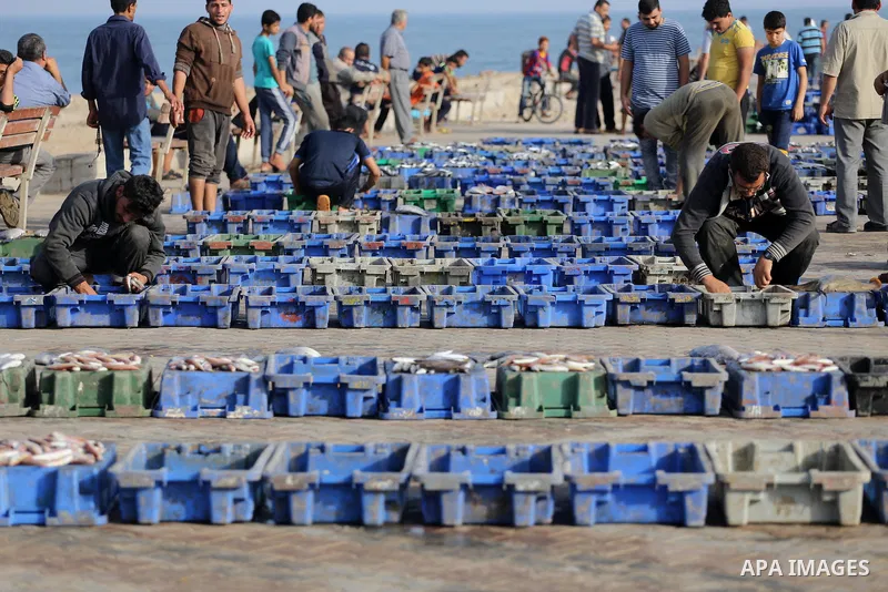 Palestinian fishermen display fish for sale on the holy month of Ramadan, in Gaza seaport, on June 14, 2016. Muslims around the world refrain from eating, drinking and sexual intercourse from dawn till dusk during Ramada...