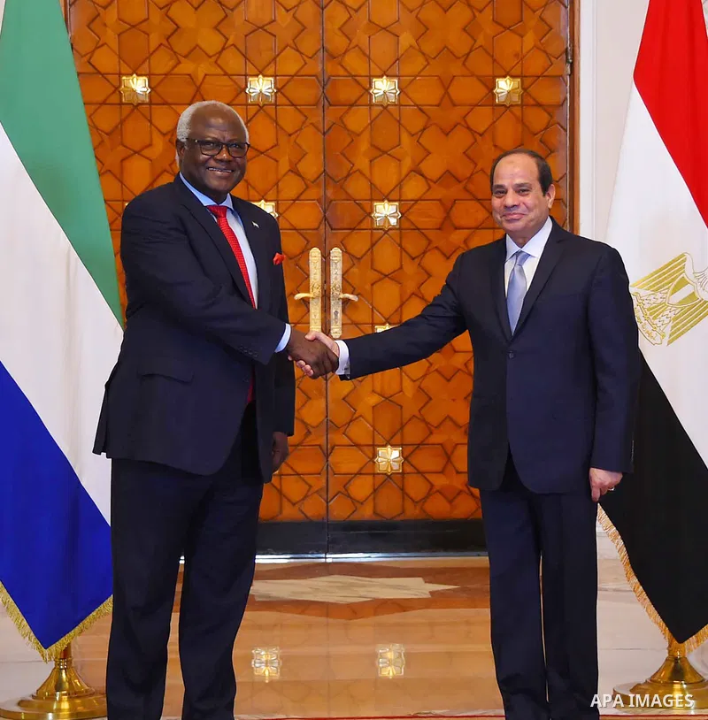 Egyptian President Abdel Fattah al-Sisi meets with Sierra Leone's president Ernest Bai Koroma, in Cairo, Egypt, on June 27, 2016. Photo by Egyptian President Office