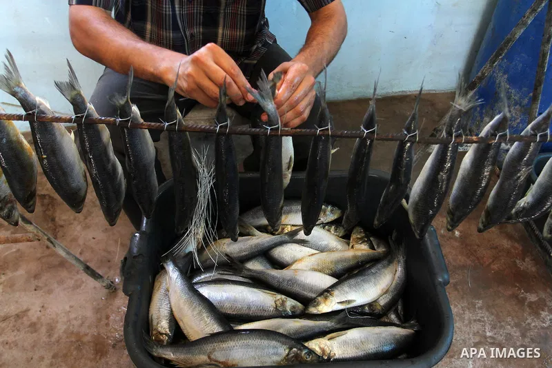 A Palestinian man prepares mackerels to be smoked and sold at a market ahead of the Eid al-Fitr holiday on July 2, 2016 in Khan Yunis, in the southern Gaza Strip. Eid al-Fitr marks the end of Muslim's holy fasting month...