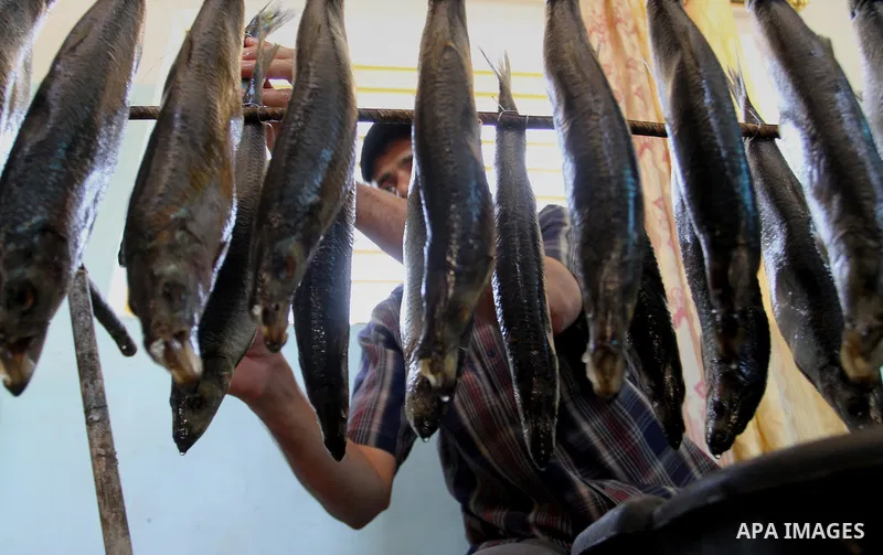 A Palestinian man prepares mackerels to be smoked and sold at a market ahead of the Eid al-Fitr holiday on July 2, 2016 in Khan Yunis, in the southern Gaza Strip. Eid al-Fitr marks the end of Muslim's holy fasting month...