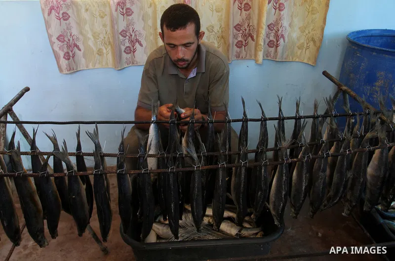 A Palestinian man prepares mackerels to be smoked and sold at a market ahead of the Eid al-Fitr holiday on July 2, 2016 in Khan Yunis, in the southern Gaza Strip. Eid al-Fitr marks the end of Muslim's holy fasting month...