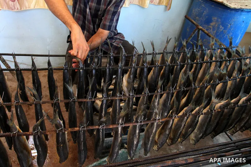 A Palestinian man prepares mackerels to be smoked and sold at a market ahead of the Eid al-Fitr holiday on July 2, 2016 in Khan Yunis, in the southern Gaza Strip. Eid al-Fitr marks the end of Muslim's holy fasting month...