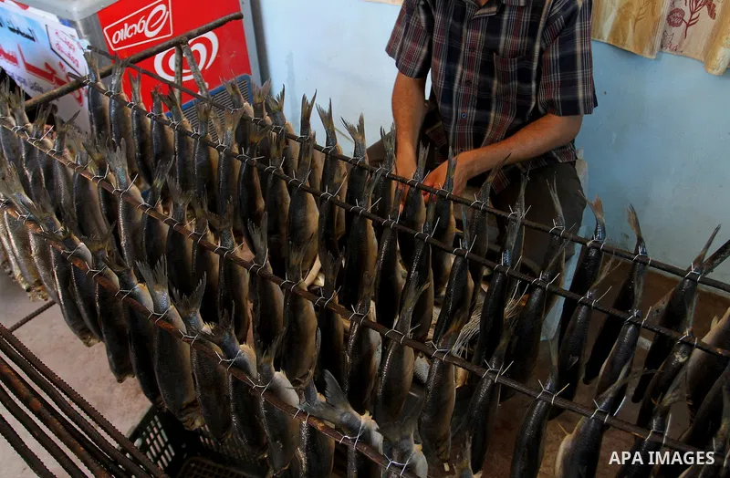 A Palestinian man prepares mackerels to be smoked and sold at a market ahead of the Eid al-Fitr holiday on July 2, 2016 in Khan Yunis, in the southern Gaza Strip. Eid al-Fitr marks the end of Muslim's holy fasting month...