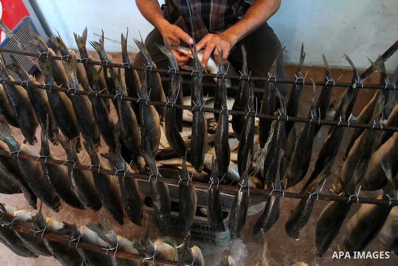 A Palestinian man prepares mackerels to be smoked and sold at a market ahead of the Eid al-Fitr holiday on July 2, 2016 in Khan Yunis, in the southern Gaza Strip. Eid al-Fitr marks the end of Muslim's holy fasting month...