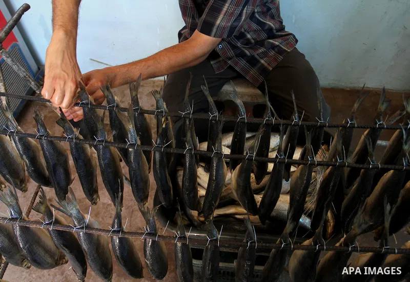 A Palestinian man prepares mackerels to be smoked and sold at a market ahead of the Eid al-Fitr holiday on July 2, 2016 in Khan Yunis, in the southern Gaza Strip. Eid al-Fitr marks the end of Muslim's holy fasting month...