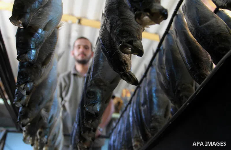 A Palestinian man prepares mackerels to be smoked and sold at a market ahead of the Eid al-Fitr holiday on July 2, 2016 in Khan Yunis, in the southern Gaza Strip. Eid al-Fitr marks the end of Muslim's holy fasting month...