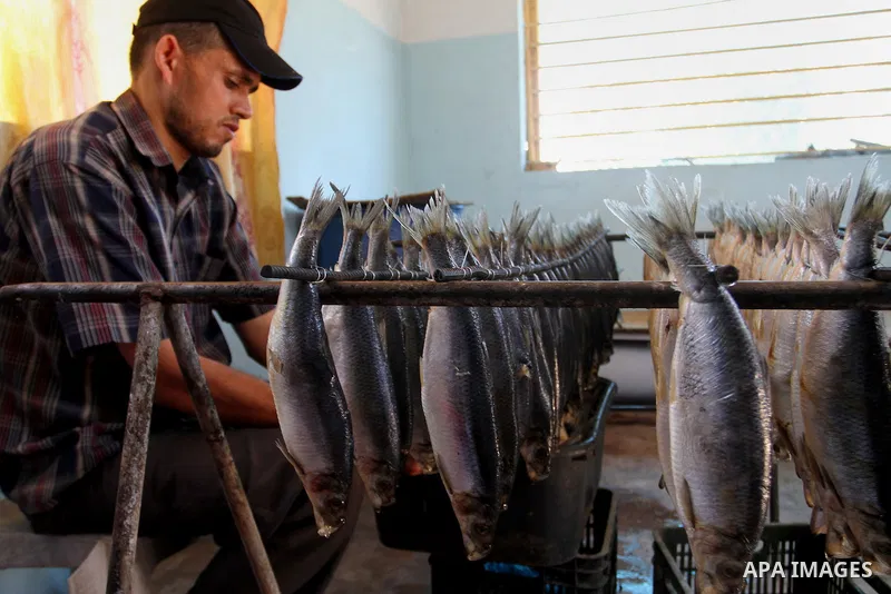 A Palestinian man prepares mackerels to be smoked and sold at a market ahead of the Eid al-Fitr holiday on July 2, 2016 in Khan Yunis, in the southern Gaza Strip. Eid al-Fitr marks the end of Muslim's holy fasting month...