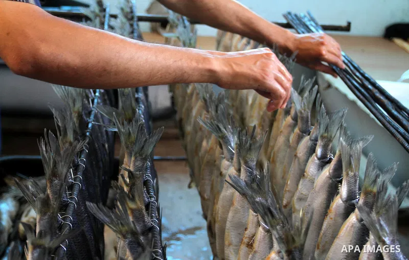 A Palestinian man prepares mackerels to be smoked and sold at a market ahead of the Eid al-Fitr holiday on July 2, 2016 in Khan Yunis, in the southern Gaza Strip. Eid al-Fitr marks the end of Muslim's holy fasting month...