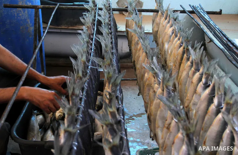 A Palestinian man prepares mackerels to be smoked and sold at a market ahead of the Eid al-Fitr holiday on July 2, 2016 in Khan Yunis, in the southern Gaza Strip. Eid al-Fitr marks the end of Muslim's holy fasting month...