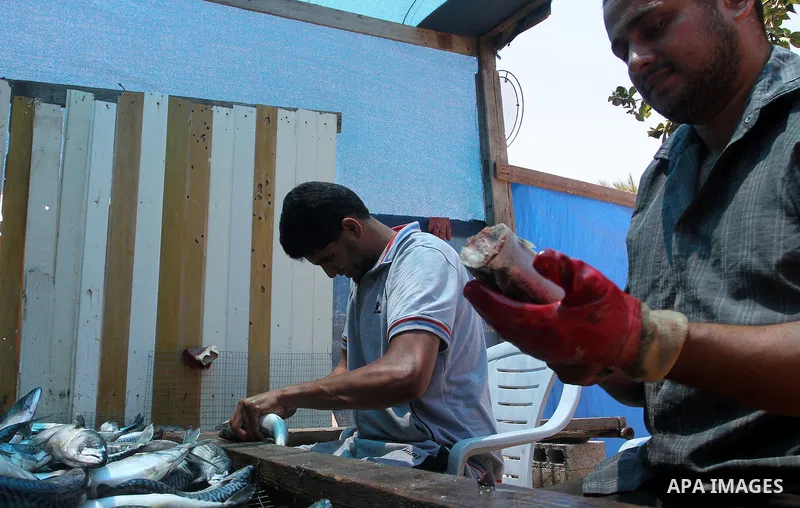 A Palestinian man prepares mackerels to be smoked and sold at a market ahead of the Eid al-Fitr holiday on July 2, 2016 in Khan Yunis, in the southern Gaza Strip. Eid al-Fitr marks the end of Muslim's holy fasting month...