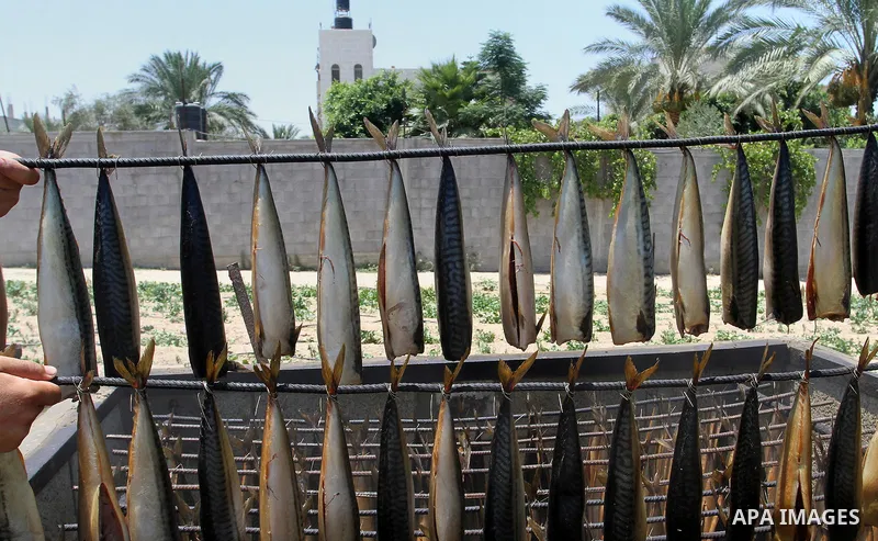 Palestinian men smoke mackerels that they will sell at a market ahead of the Eid al-Fitr holiday on July 2, 2016 in Khan Yunis, in the southern Gaza Strip. Eid al-Fitr marks the end of Muslim's holy fasting month of Rama...