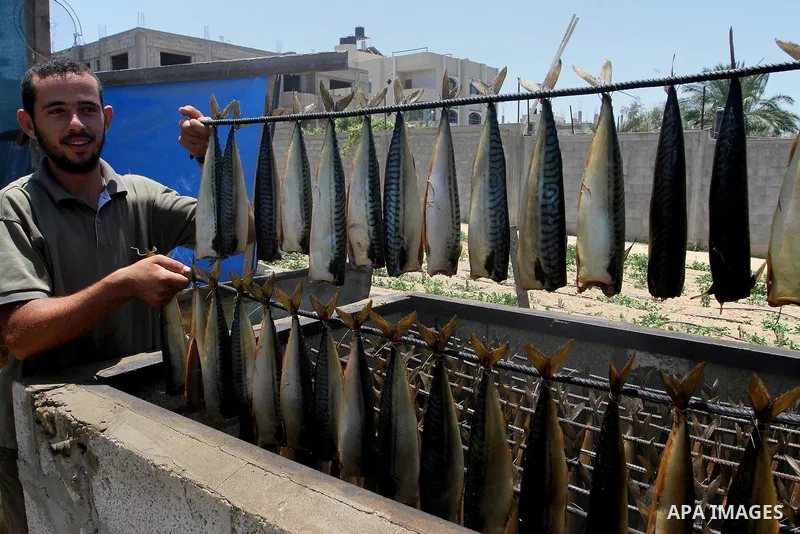 Palestinian men smoke mackerels that they will sell at a market ahead of the Eid al-Fitr holiday on July 2, 2016 in Khan Yunis, in the southern Gaza Strip. Eid al-Fitr marks the end of Muslim's holy fasting month of Rama...