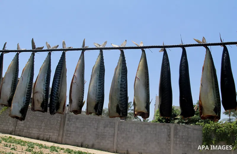 Palestinian men smoke mackerels that they will sell at a market ahead of the Eid al-Fitr holiday on July 2, 2016 in Khan Yunis, in the southern Gaza Strip. Eid al-Fitr marks the end of Muslim's holy fasting month of Rama...