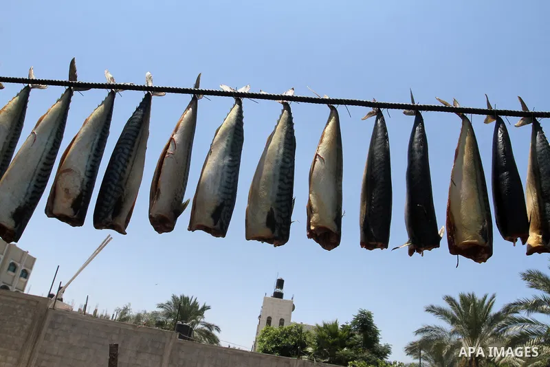 Palestinian men smoke mackerels that they will sell at a market ahead of the Eid al-Fitr holiday on July 2, 2016 in Khan Yunis, in the southern Gaza Strip. Eid al-Fitr marks the end of Muslim's holy fasting month of Rama...