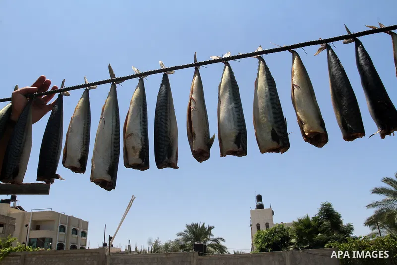 Palestinian men smoke mackerels that they will sell at a market ahead of the Eid al-Fitr holiday on July 2, 2016 in Khan Yunis, in the southern Gaza Strip. Eid al-Fitr marks the end of Muslim's holy fasting month of Rama...
