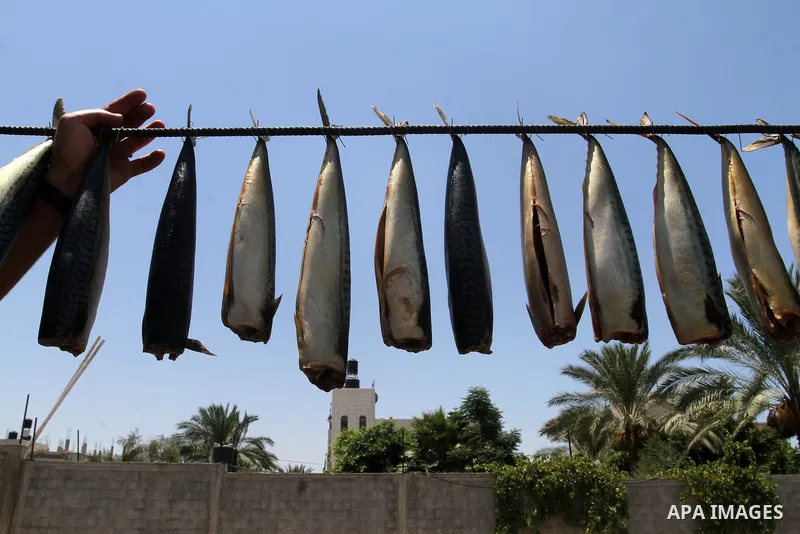 Palestinian men smoke mackerels that they will sell at a market ahead of the Eid al-Fitr holiday on July 2, 2016 in Khan Yunis, in the southern Gaza Strip. Eid al-Fitr marks the end of Muslim's holy fasting month of Rama...